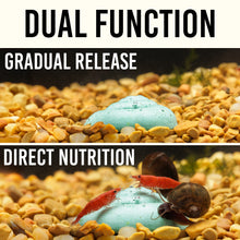 Load image into Gallery viewer, Easy Shrimp and Snail Shells
