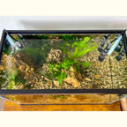 Easy Undergravel Filter System
