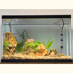 Easy Undergravel Filter System