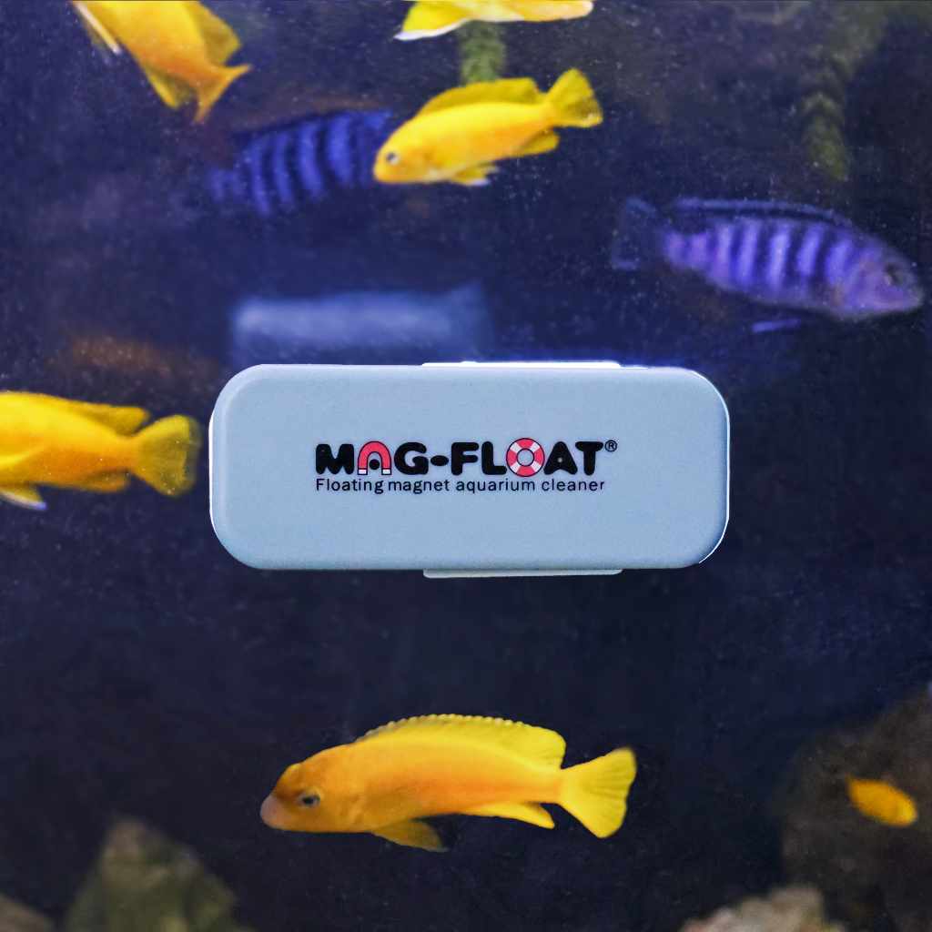 Mag Float Acrylic Aquarium Cleaner Medium