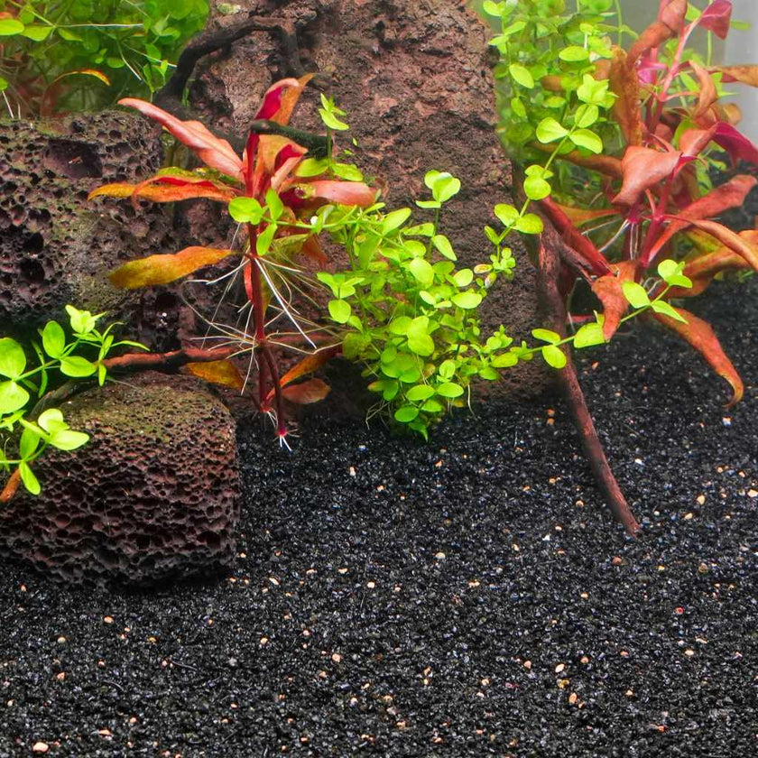 activ-betta-bio-activ-gravel-1-lb-bag-1670548