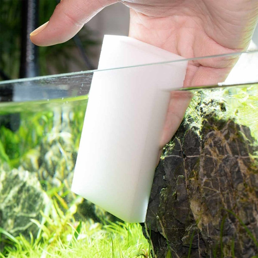 Algae Scrubber Aquarium Algae Remover to Clean Fish Tanks Aquarium