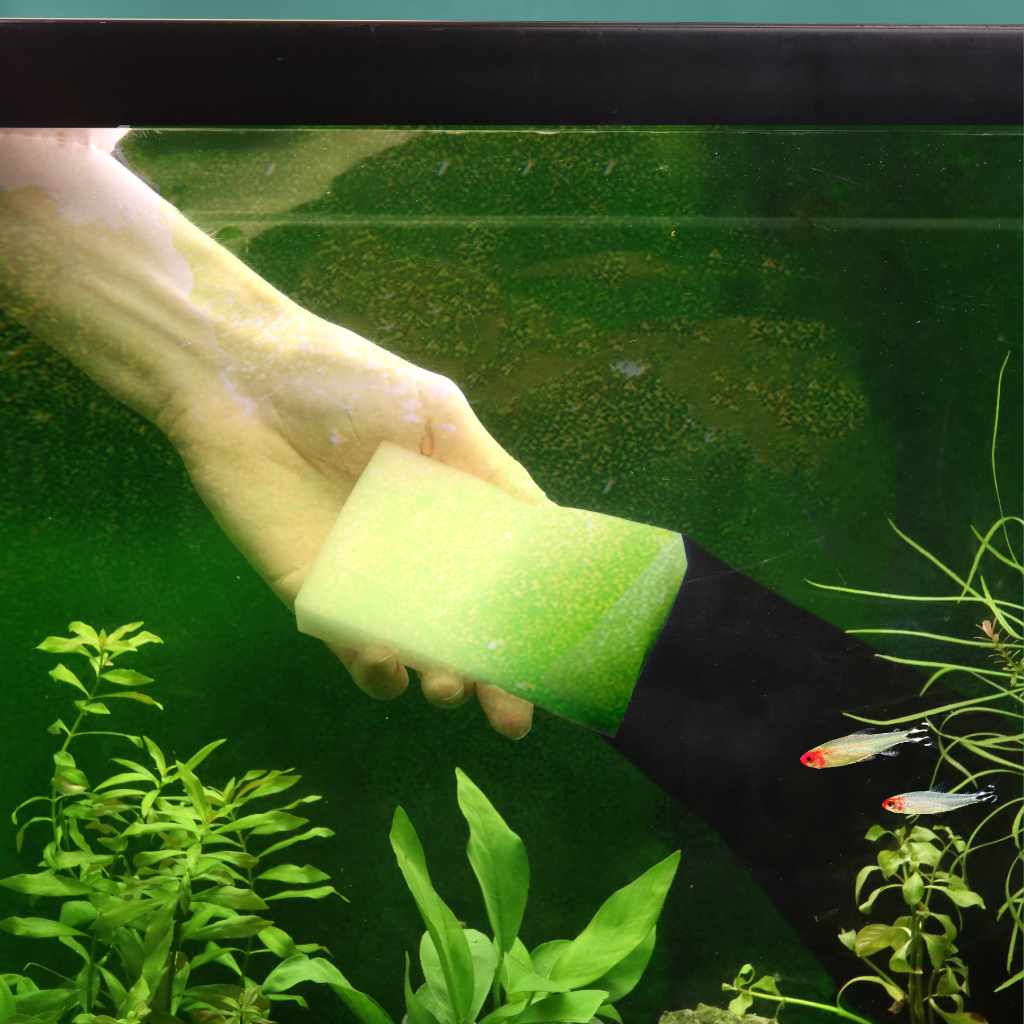 removing algae from plastic aquarium plants Algae Scrubber (3-PACK)