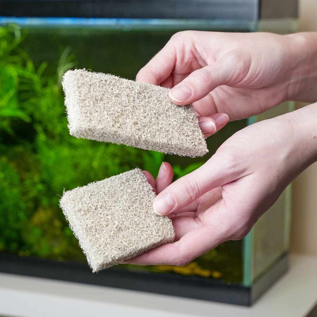clean the fish accessories woth amoneia Aquarium Co-op Ammonia Filter Pad