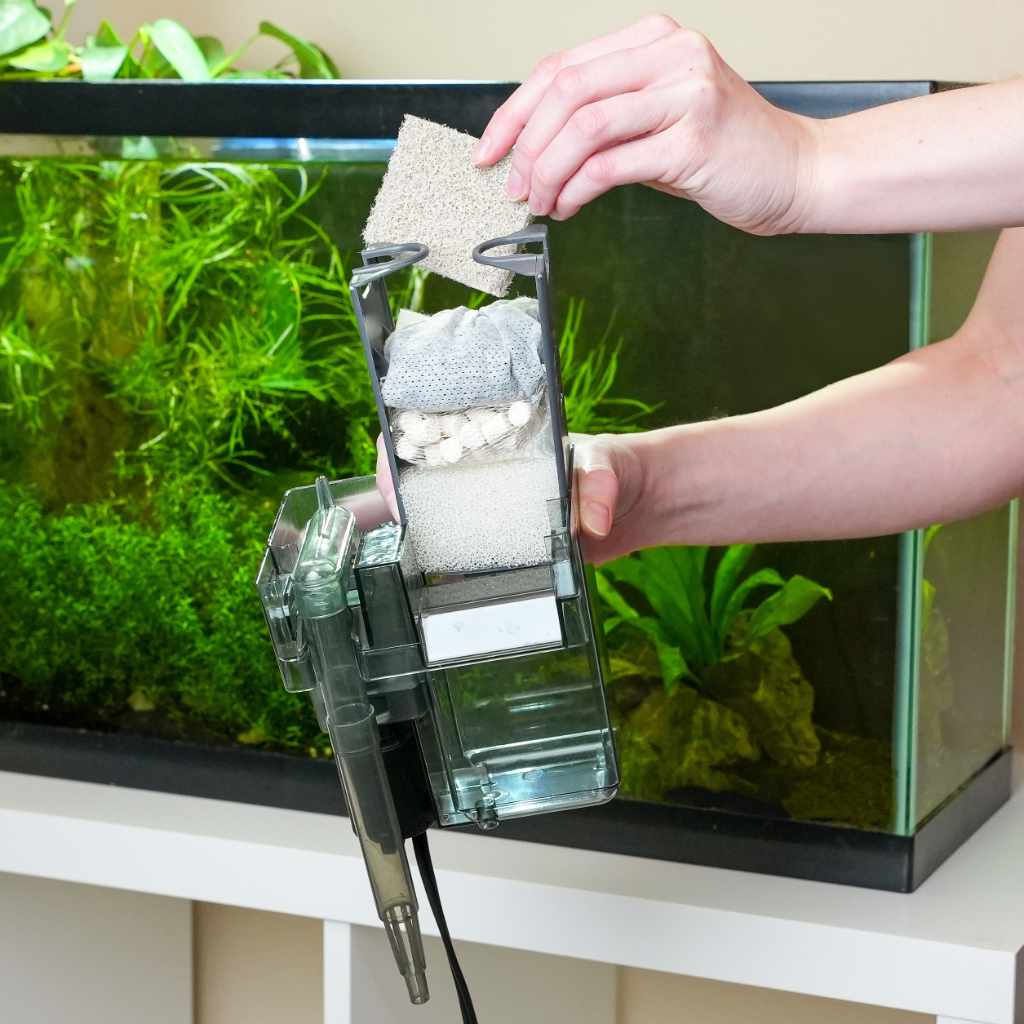 clean the fish accessories woth amoneia Aqueon AquaPacs Ammonia Reducer simply wrap the ammonia pad around the sponge filter and fasten with string How to Clean a Fish
