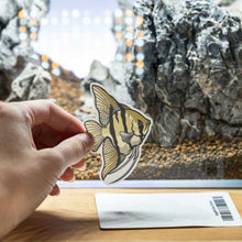 Load image into Gallery viewer, Aquarium Co-Op Merchandise Angelfish Decal Sticker
