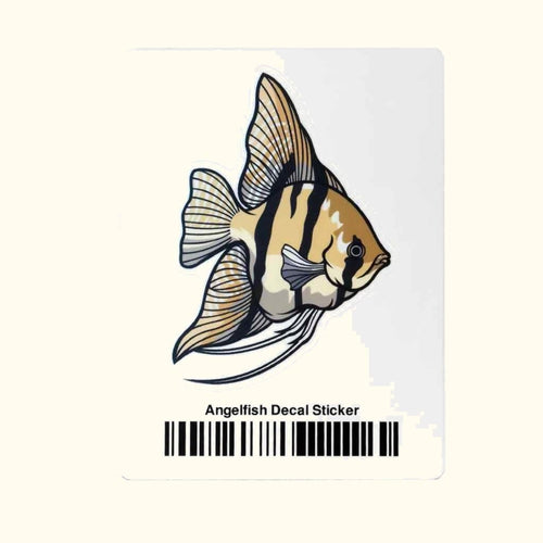 Aquarium Co-Op Merchandise Angelfish Decal Sticker
