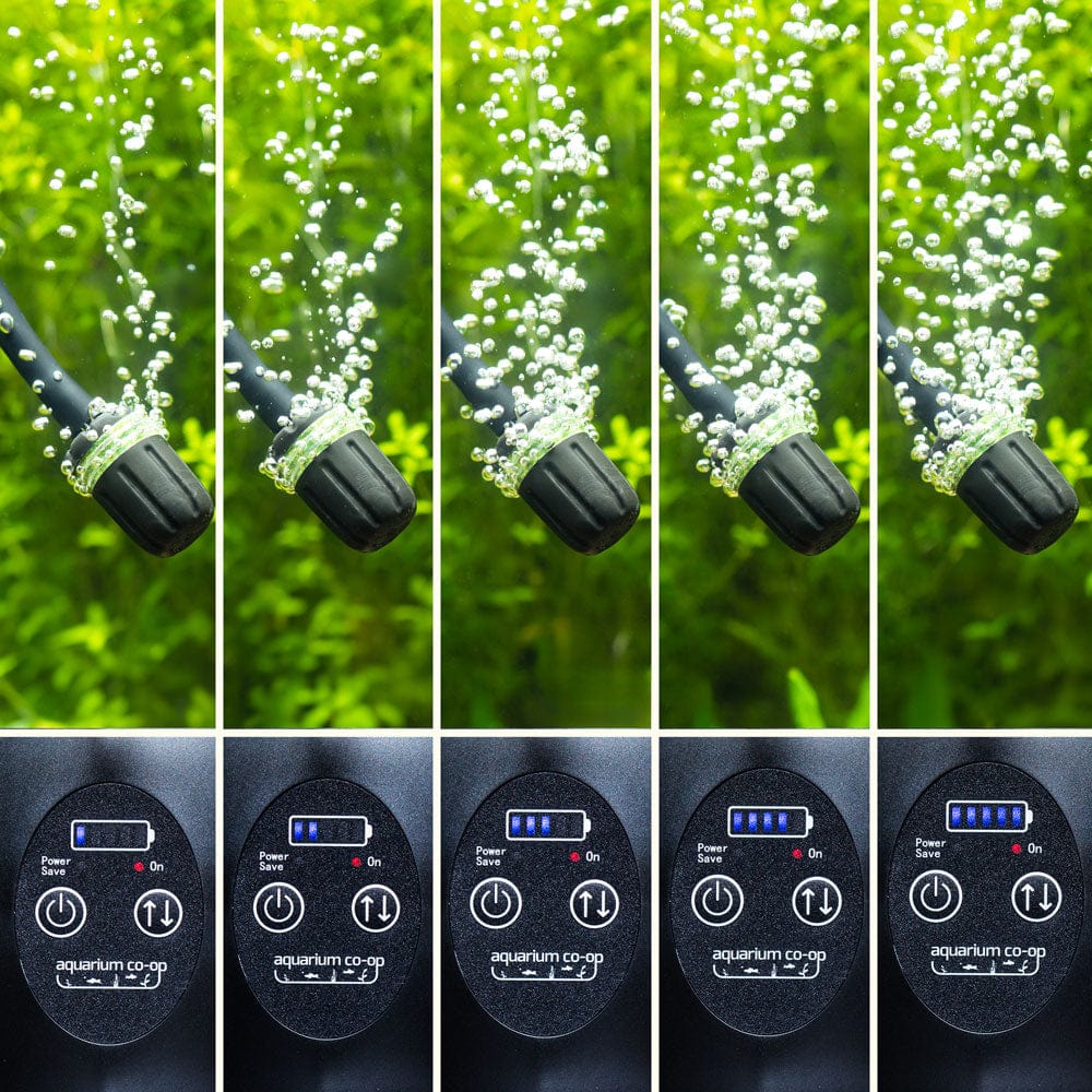 Aquarium CoOp Air Pump with Battery Backup for Sponge Filters & More