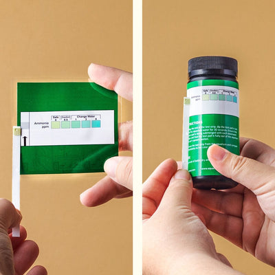 Aquarium Co - Op Ammonia Test Strips - Aquarium Co - Op