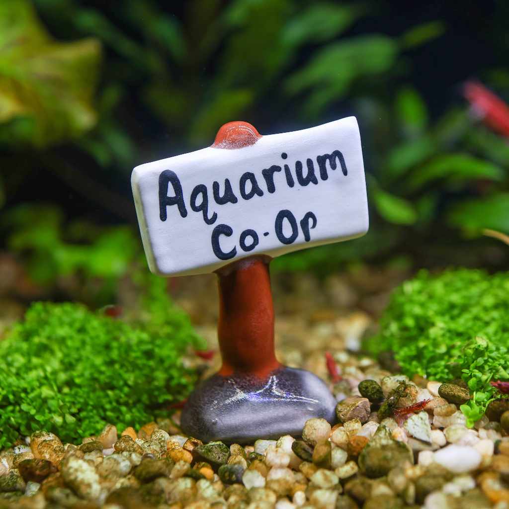 Aquarium Co-Op Decorations