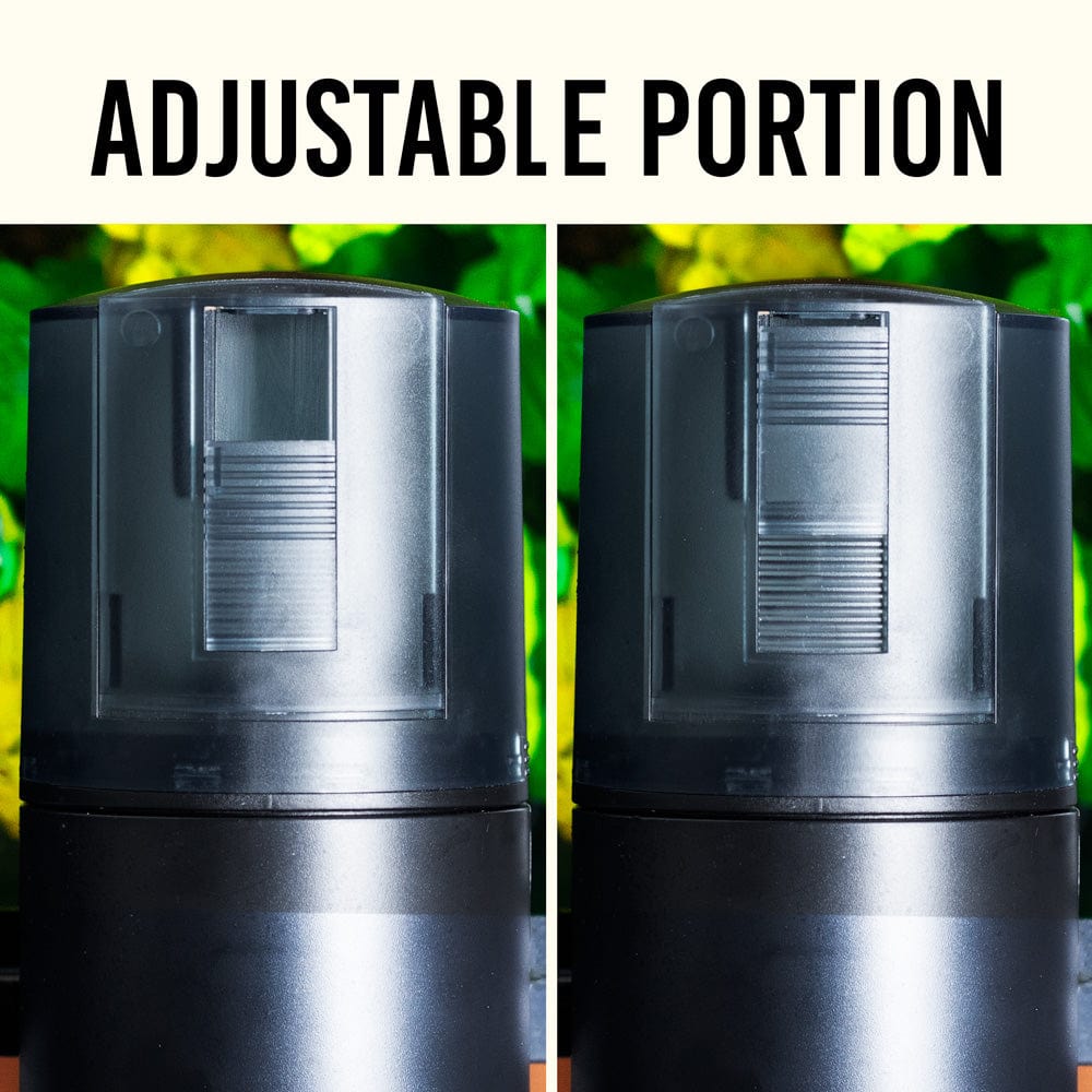 aquarium-co-op-auto-feeder-4362354