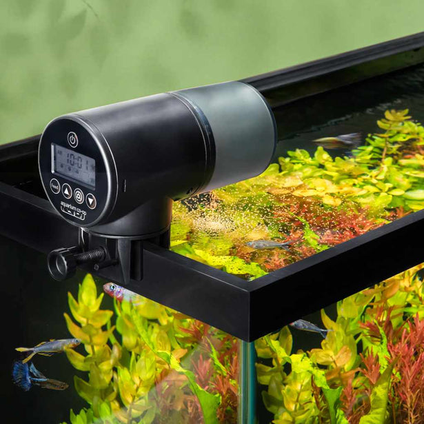 aquarium-co-op-auto-feeder-810055291205-35190227533893
