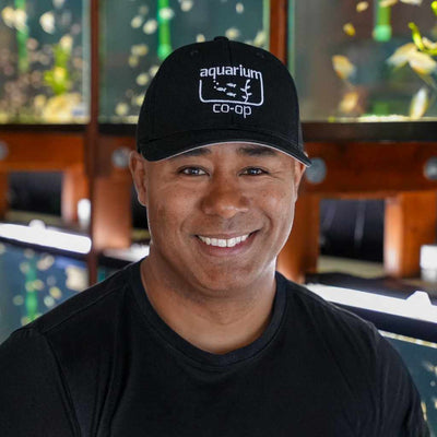 Aquarium Co - Op Black Baseball Hat - Aquarium Co - Op