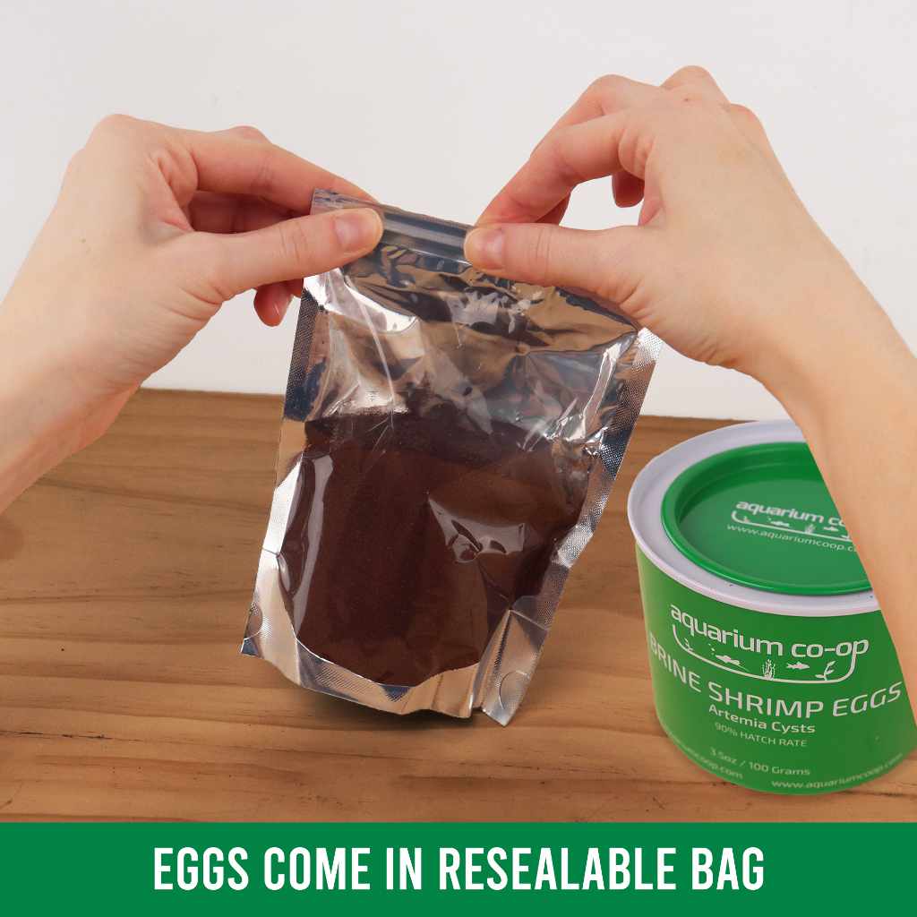 aquarium-co-op-brine-shrimp-eggs-6559325