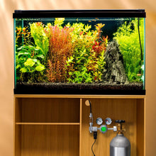 Load image into Gallery viewer, Aquarium Co-Op CO2 Aquarium Co-Op CO2 Regulator
