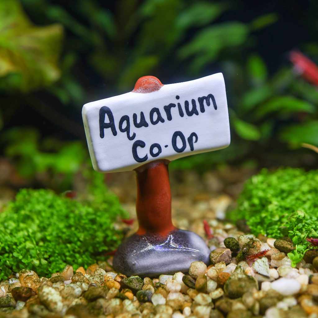 Aquarium Co-Op Ceramic Sign | Fish Tank Decorations
