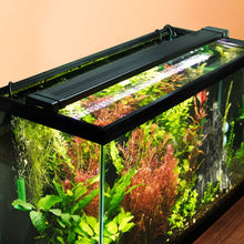 Load image into Gallery viewer, Aquarium Co-Op Lights Aquarium Co-Op Easy Plant LED Light
