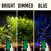 Load image into Gallery viewer, Aquarium Co-Op Lights Aquarium Co-Op Easy Plant LED Light
