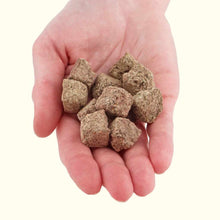 Load image into Gallery viewer, Aquarium Co - Op Freeze Dried Brine Shrimp Cubes - Aquarium Co - Op
