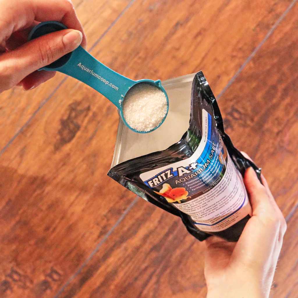 aquarium-co-op-measuring-spoon-7143788