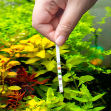 Load image into Gallery viewer, Aquarium Co - Op Multi - Test Strips - Aquarium Co - Op
