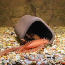 Load image into Gallery viewer, Aquarium Co - Op Pleco Cave - Aquarium Co - Op
