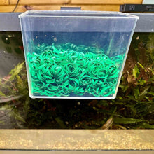 Load image into Gallery viewer, Aquarium Co - Op Rubber Bands (1lb bag) - Aquarium Co - Op
