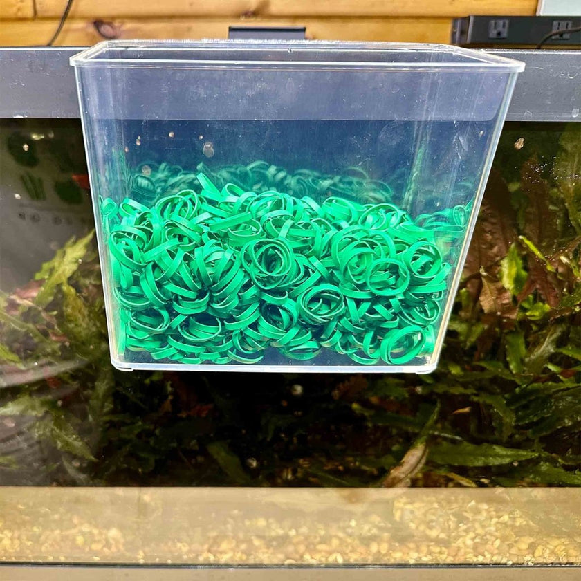 aquarium-co-op-rubber-bands-1lb-bag-7868365