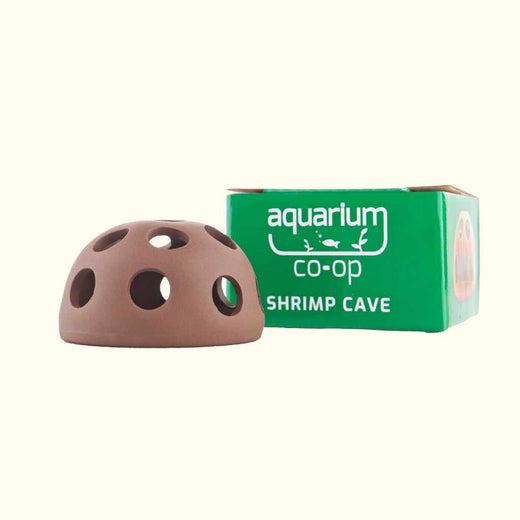 aquarium-co-op-shrimp-cave-9904333