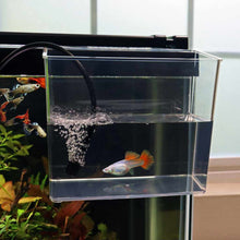 Load image into Gallery viewer, Aquarium Co-Op Breeding Supplies Aquarium Co-Op Tough Specimen Container
