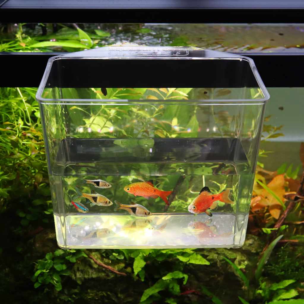 Aquarium Co-Op Catch Cup