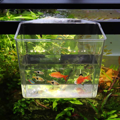 Aquarium Co - Op Unbreakable Catch Cup - Aquarium Co - Op