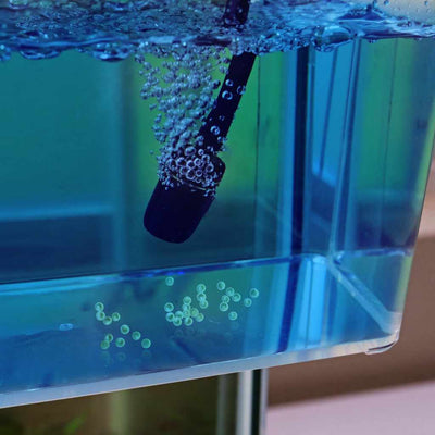 Aquarium Co - Op Unbreakable Catch Cup - Aquarium Co - Op