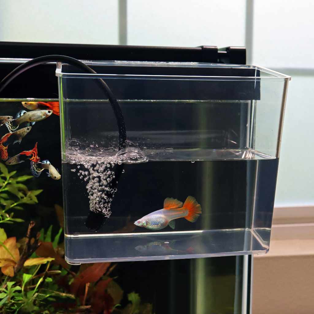 Aquarium Co-Op Catch Cup