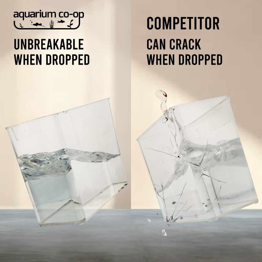 clear fish tank hooked onto inside of another fish tank Aquarium Co-Op Catch Cup