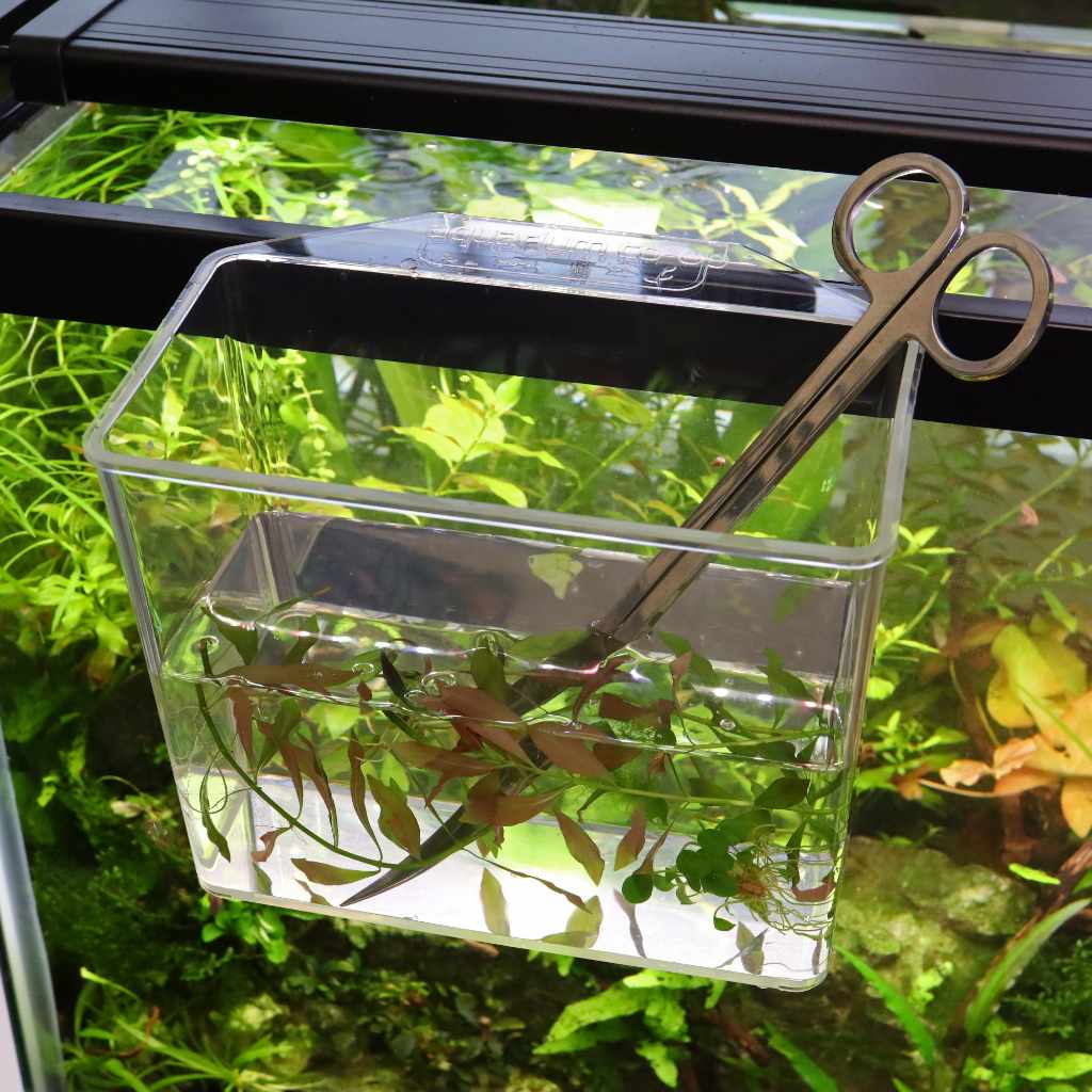 aquarium-co-op-unbreakable-catch-cup-8497310