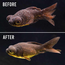 Load image into Gallery viewer, Aquarium Solutions Ich - X - Aquarium Co - Op
