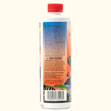 Load image into Gallery viewer, Aquarium Solutions Ich - X - Aquarium Co - Op
