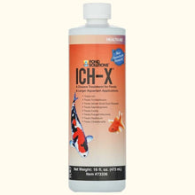 Load image into Gallery viewer, Aquarium Solutions Ich - X - Aquarium Co - Op
