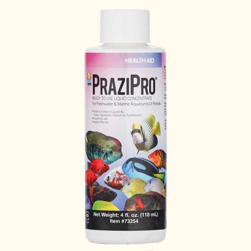 aquarium-solutions-prazipro-5604731
