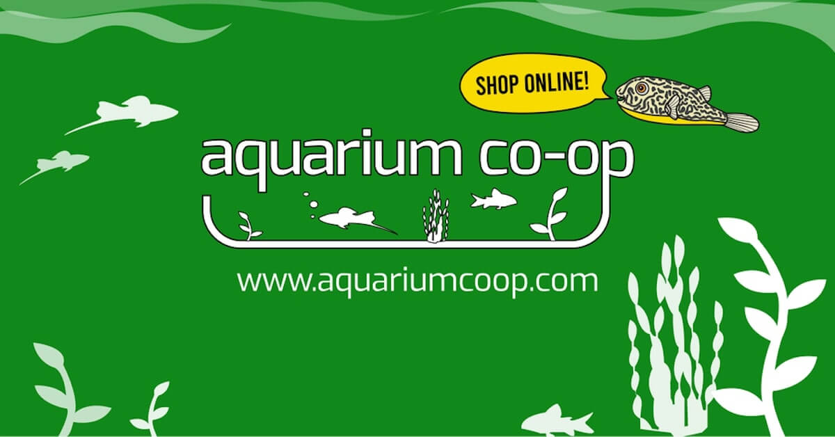 Visit the Aquarium Co-Op Fish Store