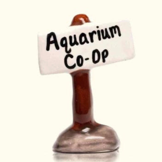 aquariumcoopdecoration