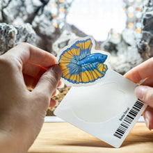 Load image into Gallery viewer, Betta Decal - Aquarium Co - Op
