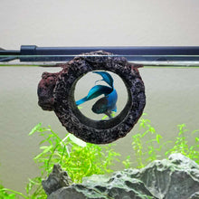 Load image into Gallery viewer, Central Pet Breeding Supplies Betta Floating Log
