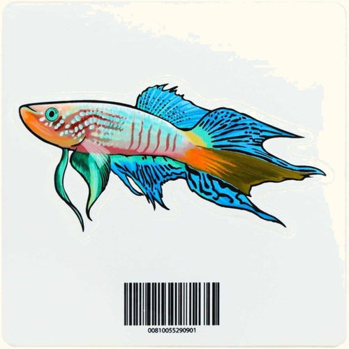 Aquarium Co-Op Merchandise Blue Gularis Killifish Decal Sticker