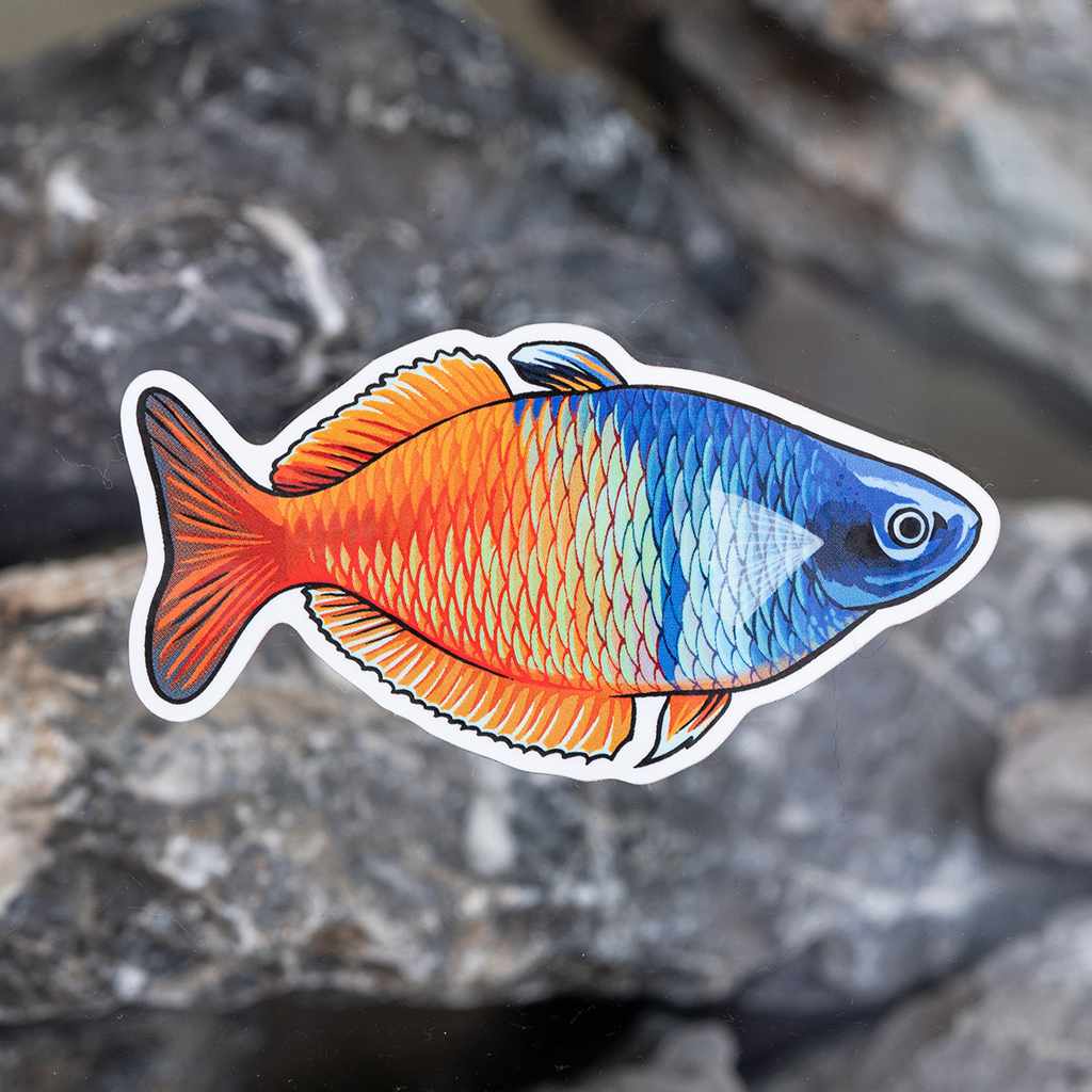 Rainbow' Sticker | Spreadshirt