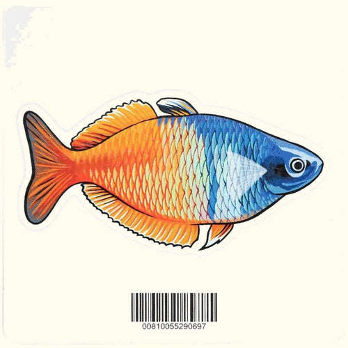 Aquarium Co-Op Merchandise Boesemani Rainbow Decal Sticker