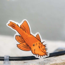 Load image into Gallery viewer, Aquarium Co-Op Merchandise Bristlenose Pleco Decal Sticker
