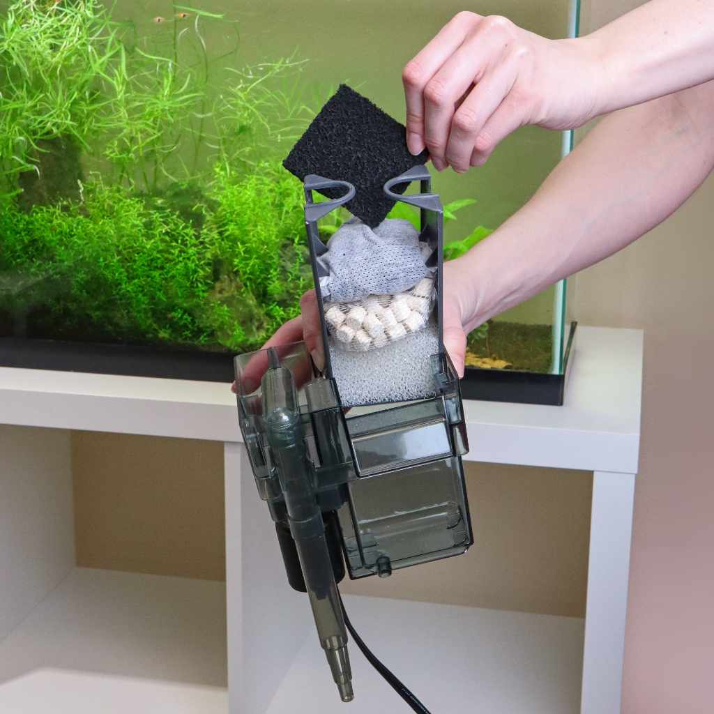 How Does Activated Carbon Work in Your Aquarium?