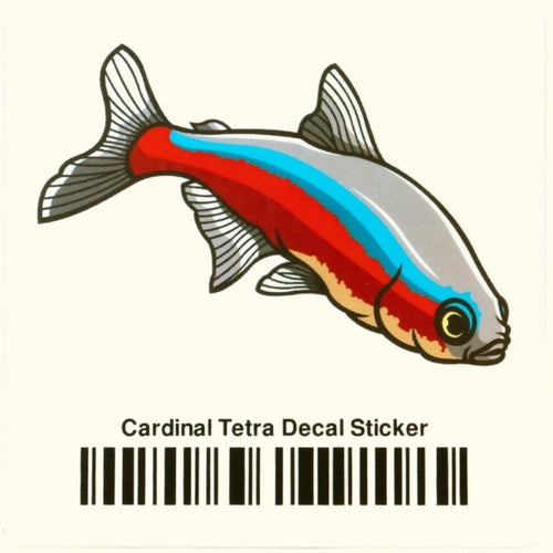 Aquarium Co-Op Merchandise Cardinal Tetra Decal Sticker